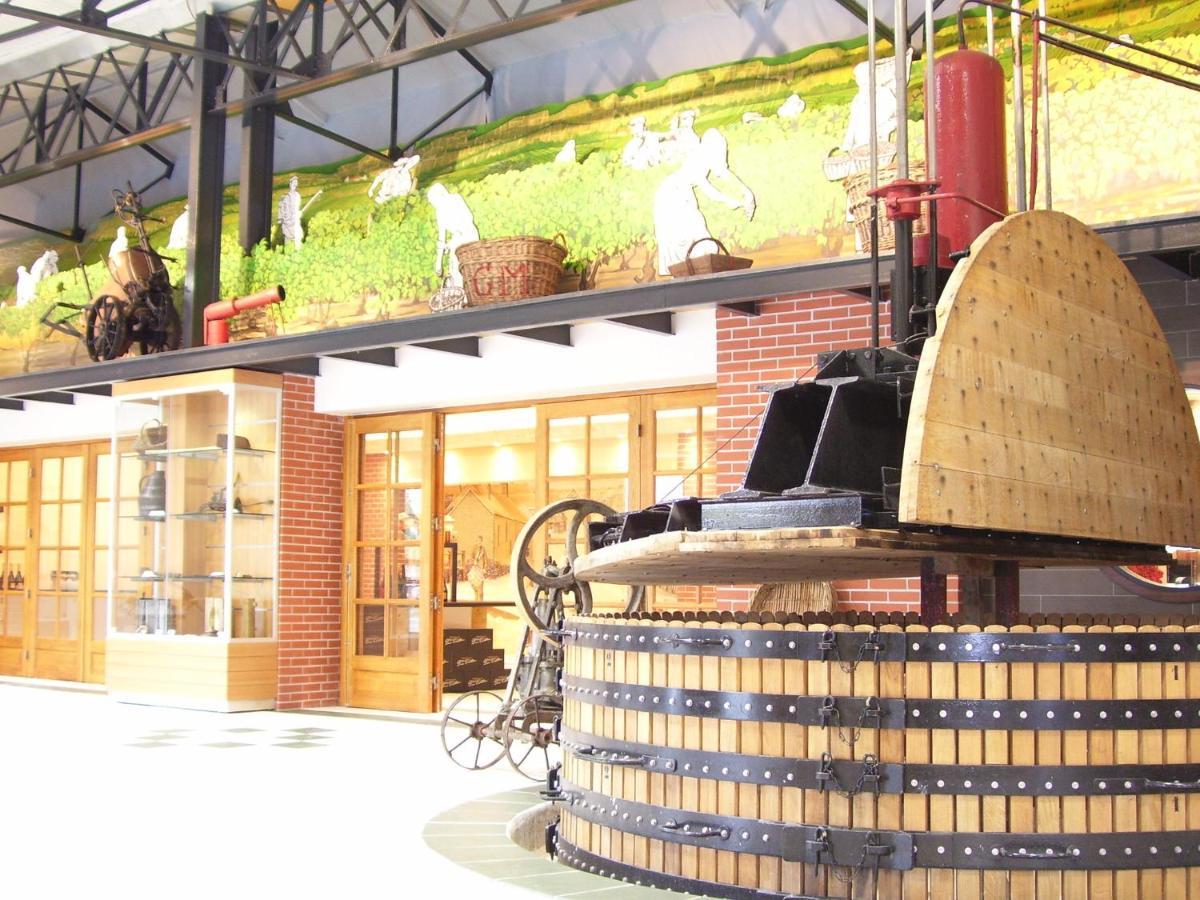 Le Cocon Appartement Proche Epernay Et Maisons De Champagne Ay-Champagne Εξωτερικό φωτογραφία