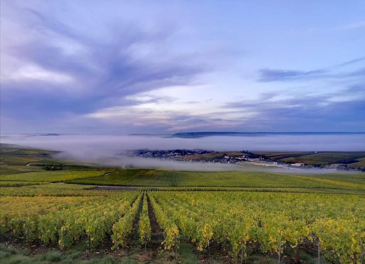 Le Cocon Appartement Proche Epernay Et Maisons De Champagne Ay-Champagne Εξωτερικό φωτογραφία