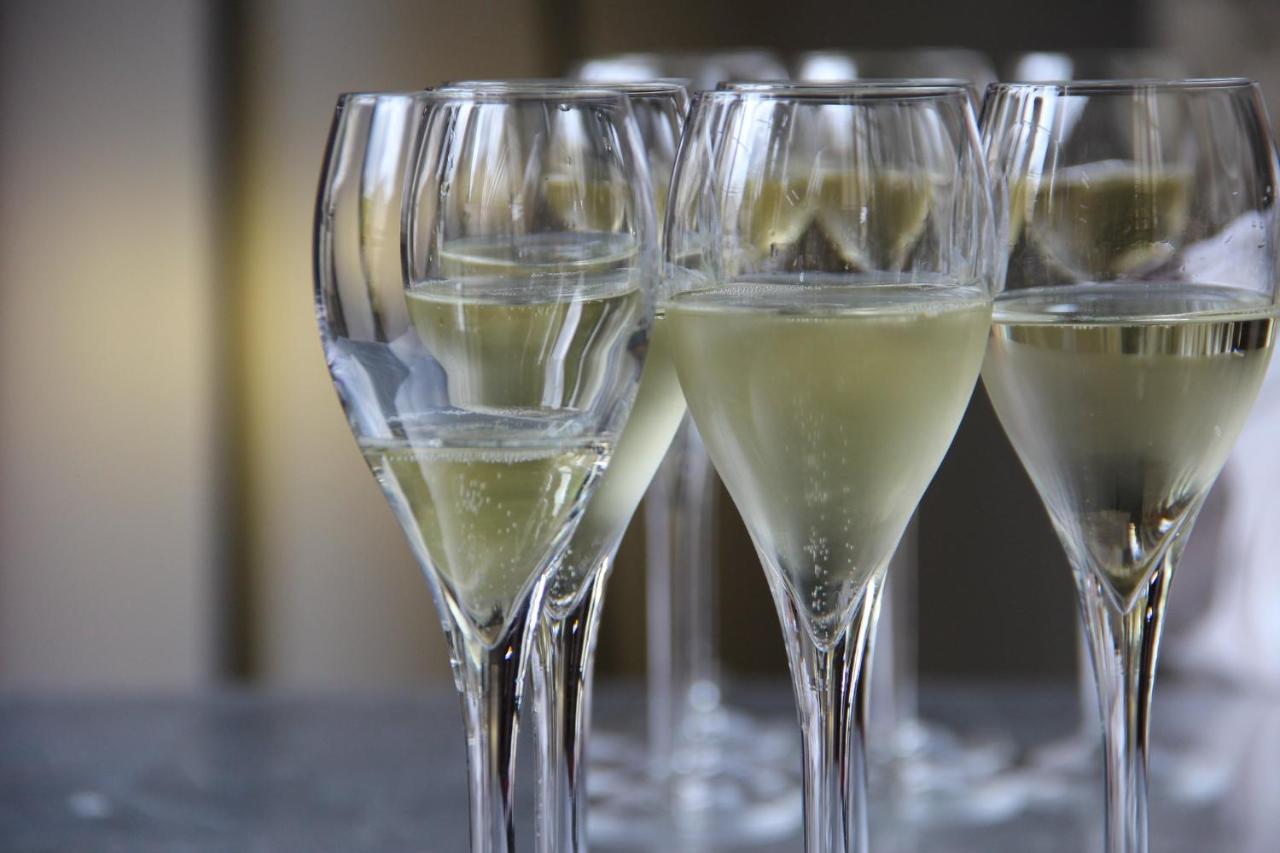 Le Cocon Appartement Proche Epernay Et Maisons De Champagne Ay-Champagne Εξωτερικό φωτογραφία