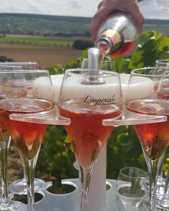 Le Cocon Appartement Proche Epernay Et Maisons De Champagne Ay-Champagne Εξωτερικό φωτογραφία